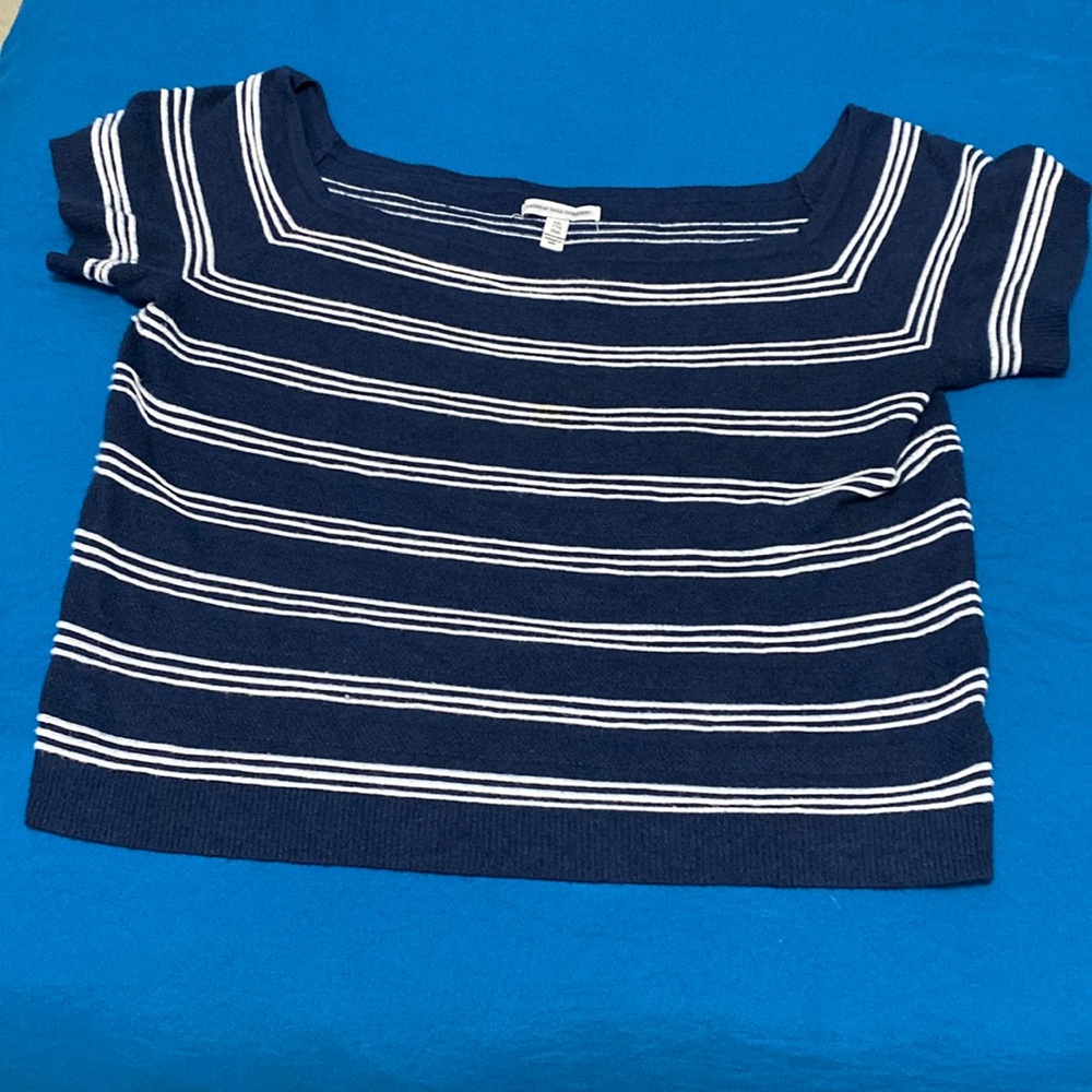 American Eagle XXL Crop Top